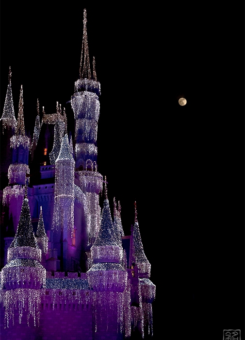 Disney ... where your dreams come true