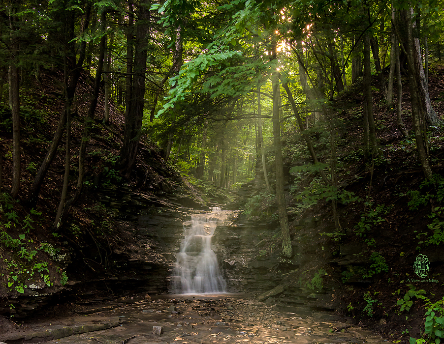 Light the Way - Letchworth State Park